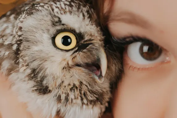 Paradise Casino Suporte